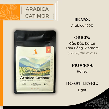 arabica catimor