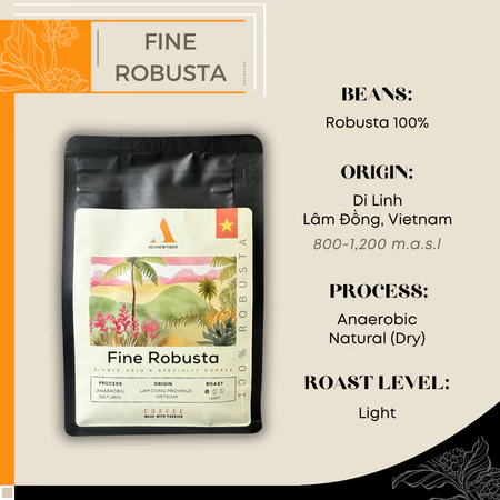 fine robusta