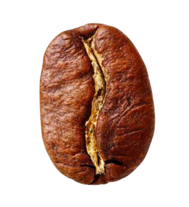 Arabica rm