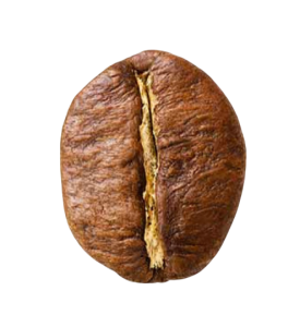 Robusta rm